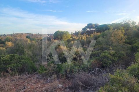 Helårsgrund i Paderne, Faro, Paderne - € 55.000 | Ref: 1210-2866 - foto 4