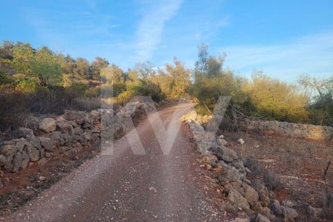 Helårsgrund i Paderne, Faro, Paderne - € 55.000 | Ref: 1210-2866 - foto 5