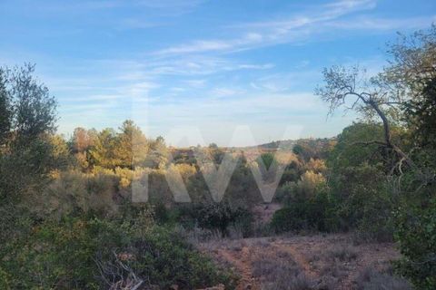 Helårsgrund i Paderne, Faro, Paderne - € 55.000 | Ref: 1210-2866 - foto 6