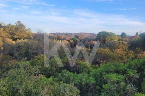 Helårsgrund i Paderne, Faro, Paderne - € 55.000 | Ref: 1210-2866 - foto 7