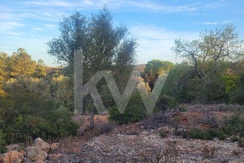 Helårsgrund i Paderne, Faro, Paderne - € 55.000 | Ref: 1210-2866 - foto 8