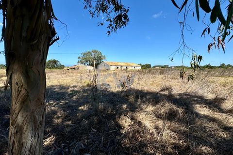 Boerderij in Odeceixe, Faro, Odeceixe - € 850.000 | Ref: KWPT-004421 - foto 4