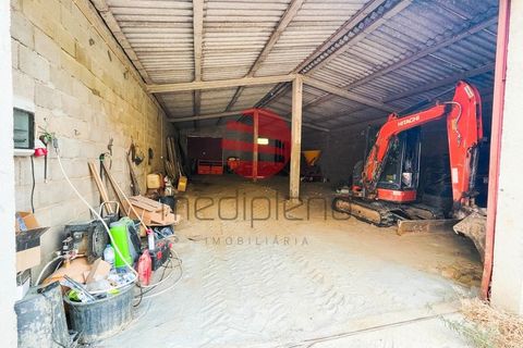 Terra a Longroiva, Guarda, Longroiva - € 550.000 | Ref: 449/MDA - foto 9