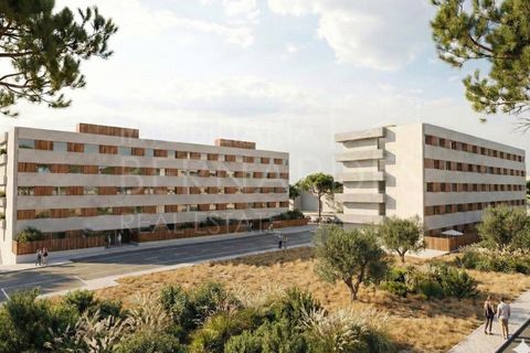 Helårsgrund i Quelfes, Faro, Quelfes - € 1.000.000 | Ref: A5057 - foto 2