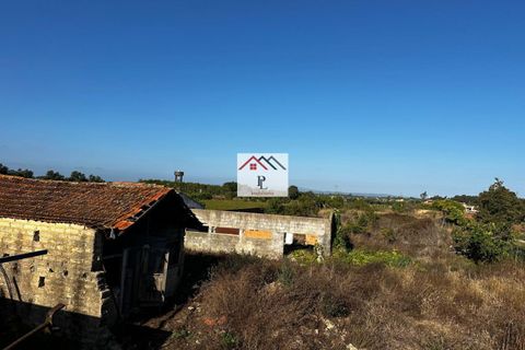Villa i Cantanhede, Coimbra, Cantanhede - € 90.000 | Ref: V880MS - foto 8