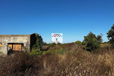 Villa i Cantanhede, Coimbra, Cantanhede - € 90.000 | Ref: V880MS - foto 14