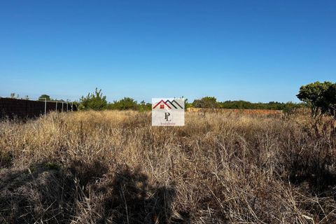 Villa i Cantanhede, Coimbra, Cantanhede - € 90.000 | Ref: V880MS - foto 16