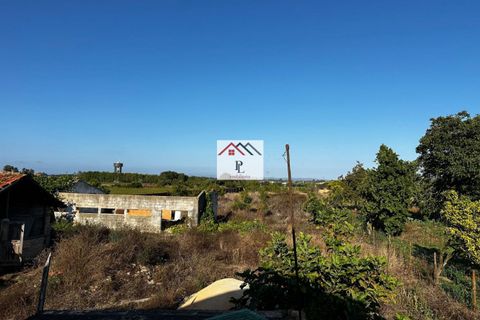 Villa i Cantanhede, Coimbra, Cantanhede - € 90.000 | Ref: V880MS - foto 17