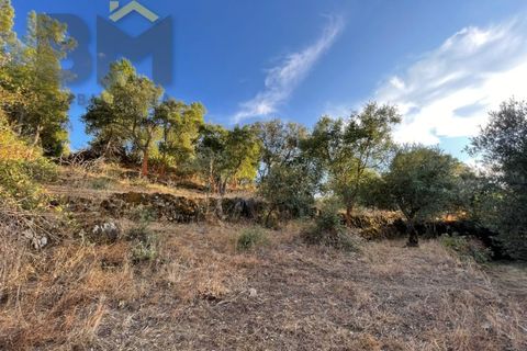 Helårsgrund i Castelo Branco, Castelo Branco, Castelo Branco - € 13.000 | Ref: 4714 - foto 1