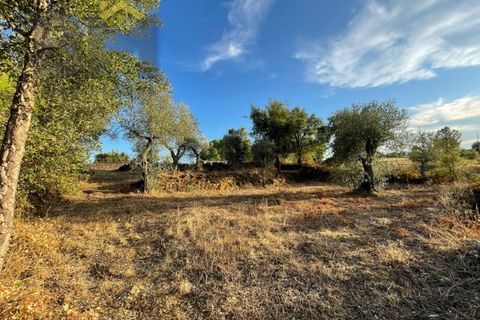 Helårsgrund i Castelo Branco, Castelo Branco, Castelo Branco - € 13.000 | Ref: 4714 - foto 2