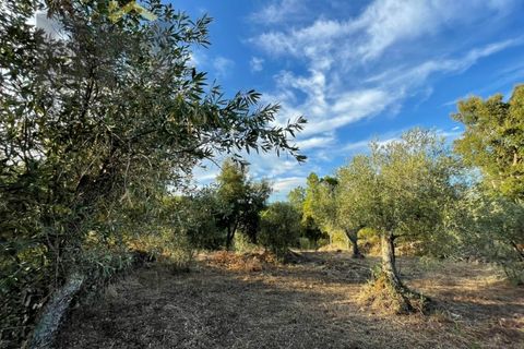 Helårsgrund i Castelo Branco, Castelo Branco, Castelo Branco - € 13.000 | Ref: 4714 - foto 3