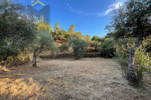 Helårsgrund i Castelo Branco, Castelo Branco, Castelo Branco - € 13.000 | Ref: 4714 - foto 9