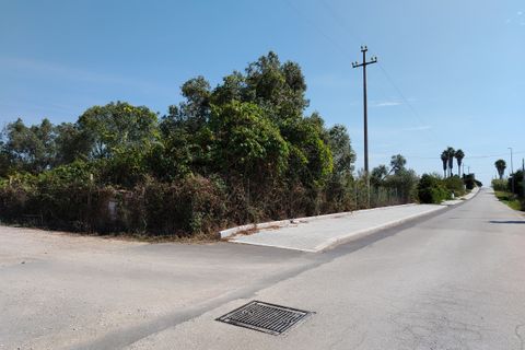 Terra a Anzio, Rome, Anzio - € 59.000 | Ref: 007TE - foto 2