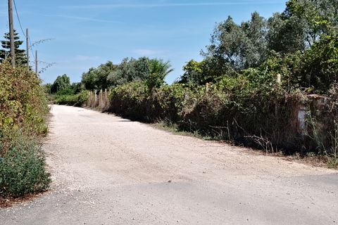 Terra a Anzio, Rome, Anzio - € 59.000 | Ref: 007TE - foto 3