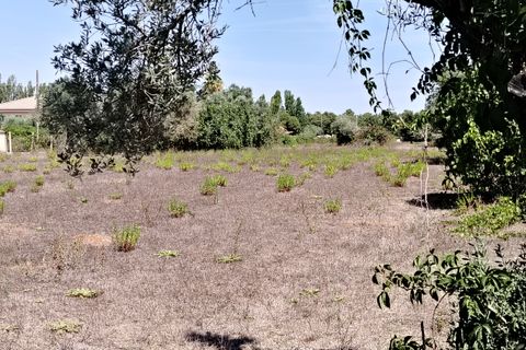 Terra a Anzio, Rome, Anzio - € 59.000 | Ref: 007TE - foto 4