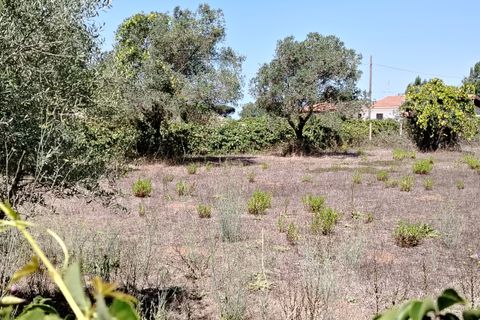 Terra a Anzio, Rome, Anzio - € 59.000 | Ref: 007TE - foto 5