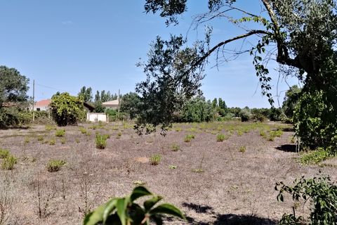 Terra a Anzio, Rome, Anzio - € 59.000 | Ref: 007TE - foto 6