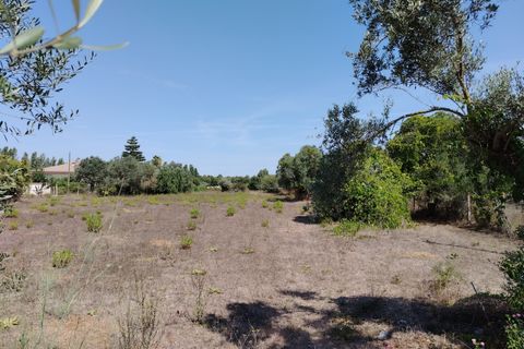 Terra a Anzio, Rome, Anzio - € 59.000 | Ref: 007TE - foto 7