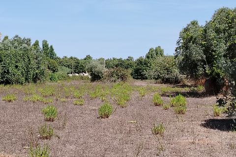 Terra a Anzio, Rome, Anzio - € 59.000 | Ref: 007TE - foto 8