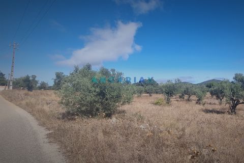 Terra a Alcanena, Santarem, Alcanena - € 235.000 | Ref: ANG1195 - foto 7