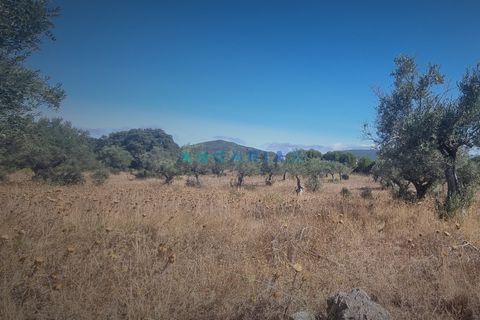 Terra a Alcanena, Santarem, Alcanena - € 235.000 | Ref: ANG1195 - foto 2