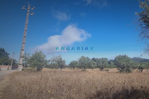 Terra a Alcanena, Santarem, Alcanena - € 235.000 | Ref: ANG1195 - foto 5