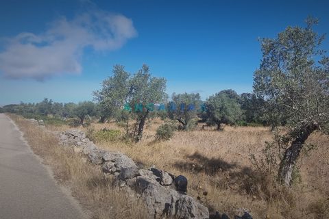 Terra a Alcanena, Santarem, Alcanena - € 235.000 | Ref: ANG1195 - foto 6