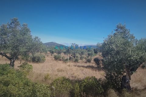 Terra a Alcanena, Santarem, Alcanena - € 235.000 | Ref: ANG1195 - foto 10