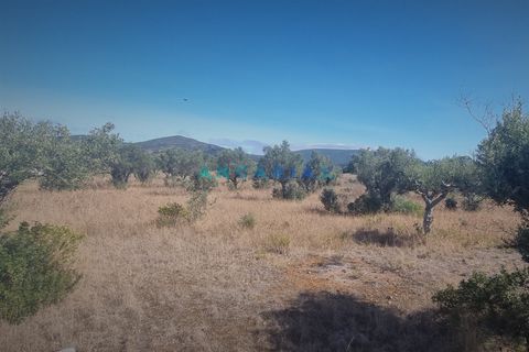 Terra a Alcanena, Santarem, Alcanena - € 235.000 | Ref: ANG1195 - foto 11