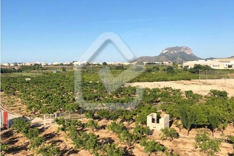Villa a Beniarbeig, Alicante, Beniarbeig - € 599.900 | Ref: 5-36-15152 - foto 11