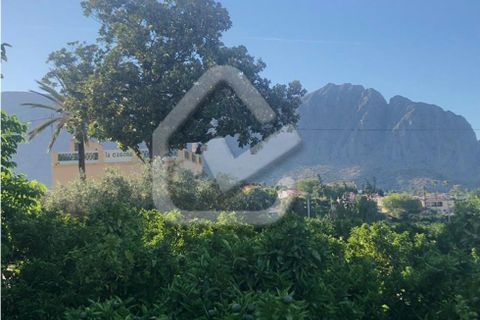 Villa a Beniarbeig, Alicante, Beniarbeig - € 599.900 | Ref: 5-36-15152 - foto 12