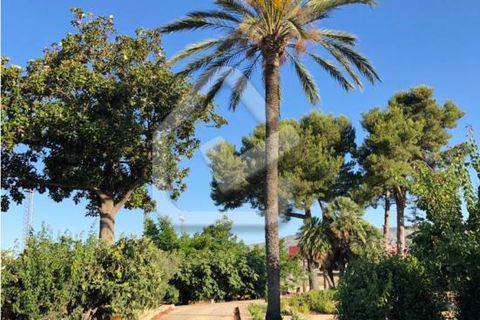 Villa a Beniarbeig, Alicante, Beniarbeig - € 599.900 | Ref: 5-36-15152 - foto 13