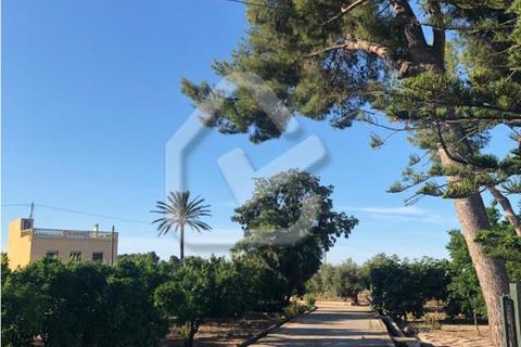 Villa a Beniarbeig, Alicante, Beniarbeig - € 599.900 | Ref: 5-36-15152 - foto 16