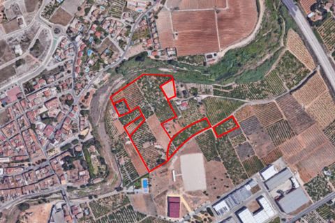Villa a Beniarbeig, Alicante, Beniarbeig - € 599.900 | Ref: 5-36-15152 - foto 19