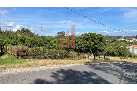 Tomt i Azambuja, Lisbon, Azambuja - € 40 000 | Ref: 033202400104 - foto 6