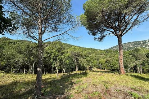 Terra a Calonge, Gerona, Calonge - € 200.000 | Ref: CBF4923 - foto 4