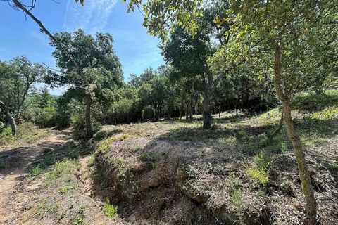 Terra a Calonge, Gerona, Calonge - € 200.000 | Ref: CBF4923 - foto 6