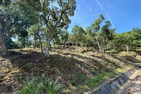 Terra a Calonge, Gerona, Calonge - € 200.000 | Ref: CBF4923 - foto 11