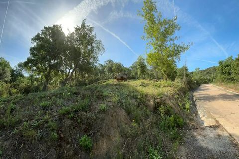 Terra a Calonge, Gerona, Calonge - € 200.000 | Ref: CBF4923 - foto 12