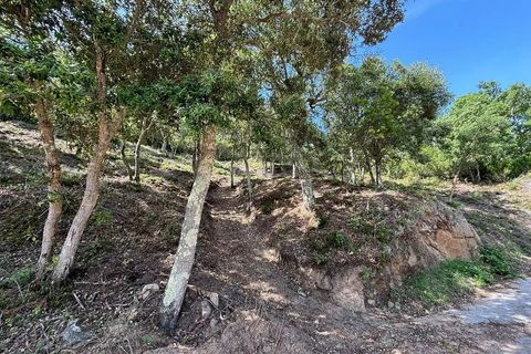 Terra a Calonge, Gerona, Calonge - € 200.000 | Ref: CBF4923 - foto 13