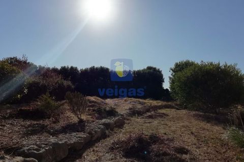 Villa a Queluz, Lisbon, Queluz - € 1.450.000 | Ref: OD1-214423 - foto 32