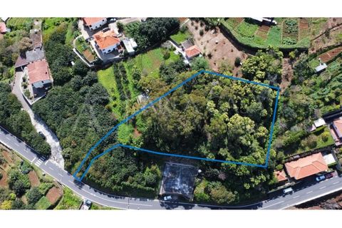 Helårsgrund i Machico, Madeira, Machico - € 175.000 | Ref: PAR_109 - foto 1