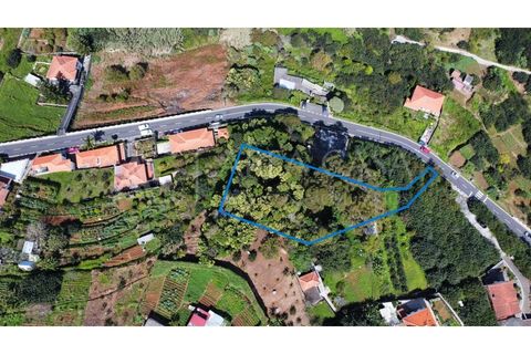 Helårsgrund i Machico, Madeira, Machico - € 175.000 | Ref: PAR_109 - foto 3