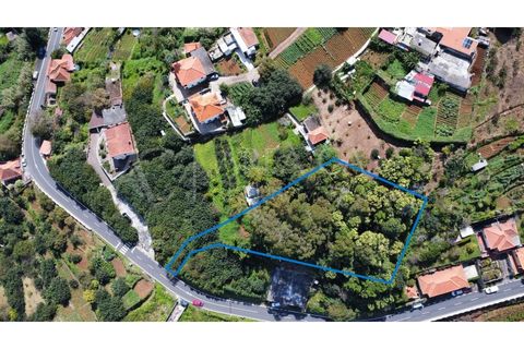Helårsgrund i Machico, Madeira, Machico - € 175.000 | Ref: PAR_109 - foto 4