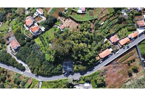 Helårsgrund i Machico, Madeira, Machico - € 175.000 | Ref: PAR_109 - foto 5