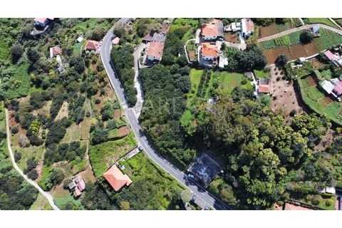 Helårsgrund i Machico, Madeira, Machico - € 175.000 | Ref: PAR_109 - foto 6