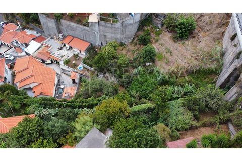 Villa i Caniço, Madeira, Caniço - € 420.000 | Ref: CAS_110 - foto 23