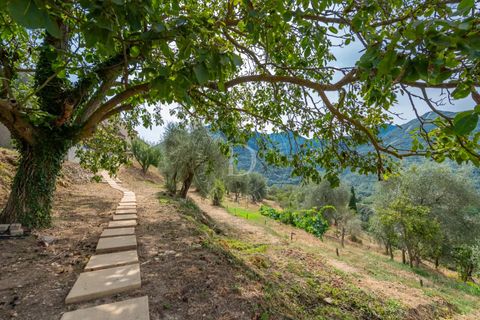 Villa i Sospel, Alpes-Maritimes, Sospel - € 1.195.000 | Ref: 83357869 - foto 37