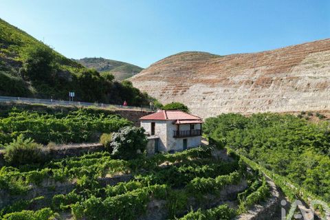 Byhus i Tabuaco, Viseu, Tabuaco - € 340.000 | Ref: 126065 - foto 14