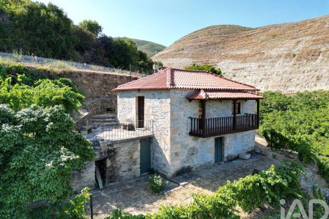Byhus i Tabuaco, Viseu, Tabuaco - € 340.000 | Ref: 126065 - foto 16